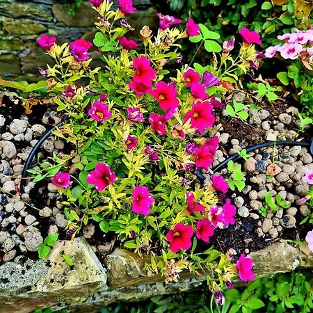 Lovely House Holiday home Santa Margherita Ligure