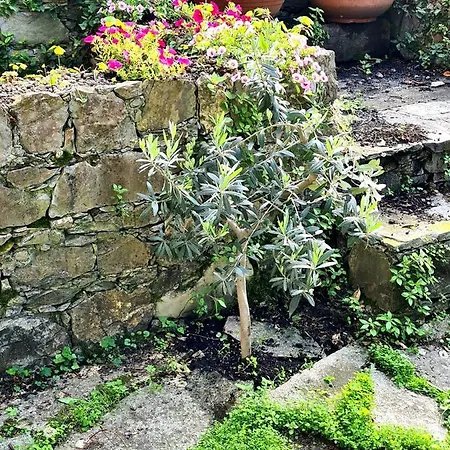 Lovely House Vakantiehuis Santa Margherita Ligure